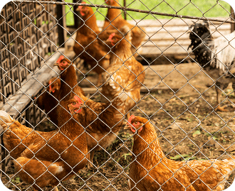 home-page-gallery-image-3