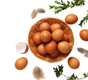 footer-contact-us-image