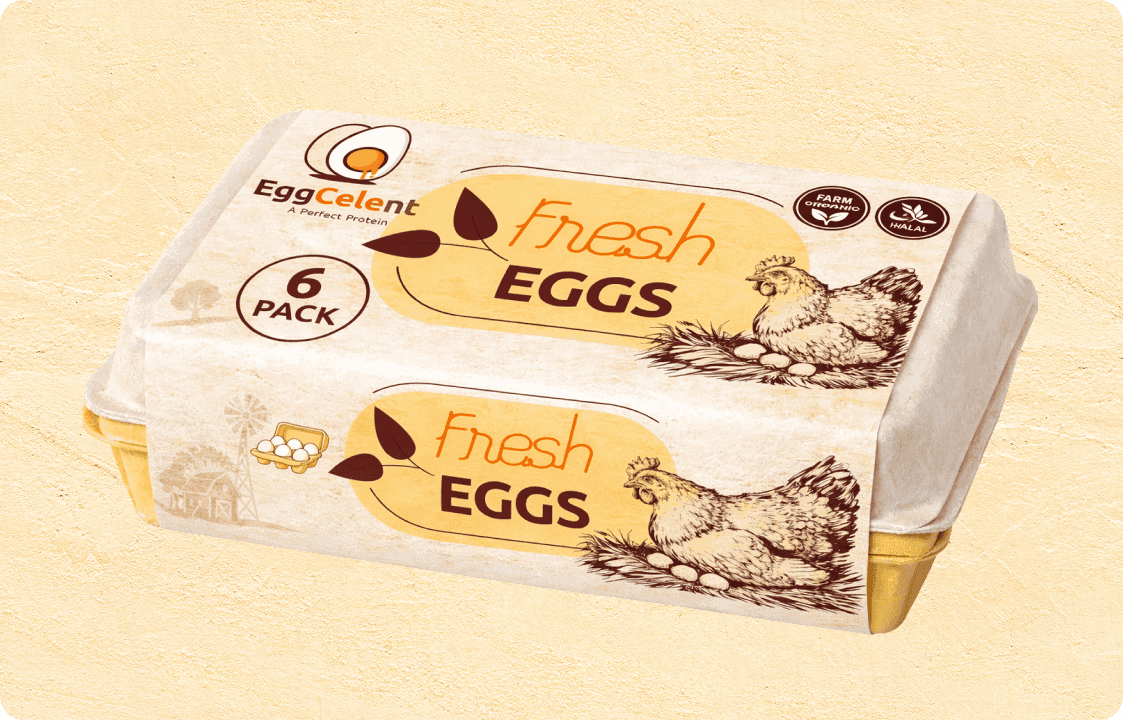 six-pack-eggs-image-1