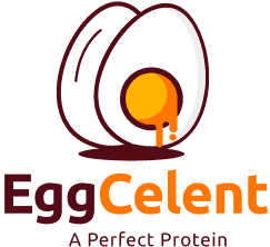 home-page-header-banner-logo