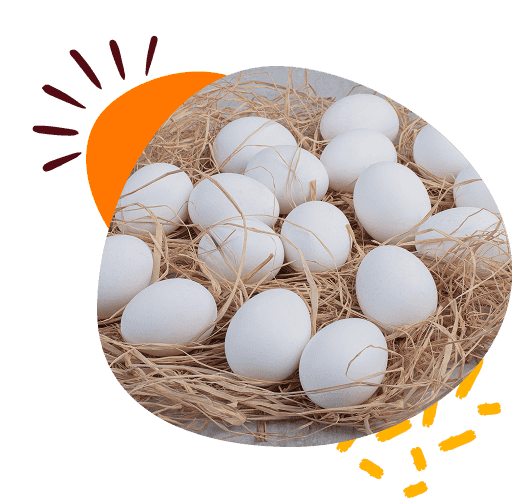 home-page-welfare-section-image-1