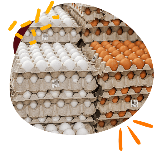 wholesale-eggs-in-pakistan-section-image-1