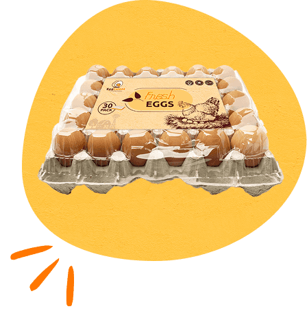 poultry-page-welfare-section-image-4