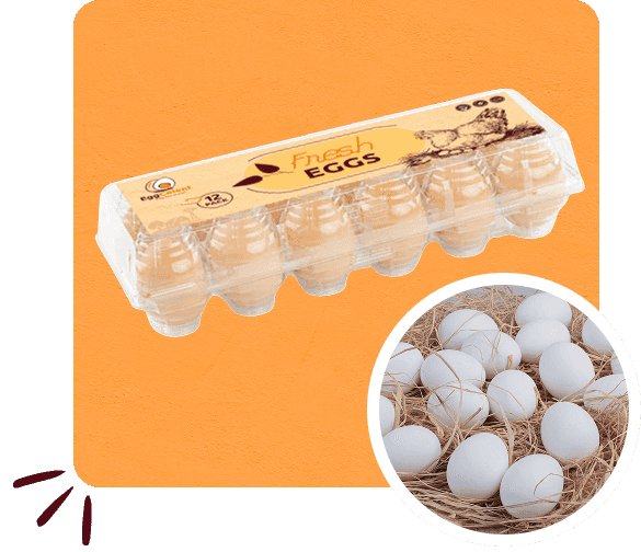 poultry-page-welfare-section-image-3