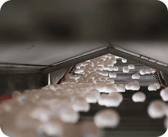 home-page-gallery-image-6