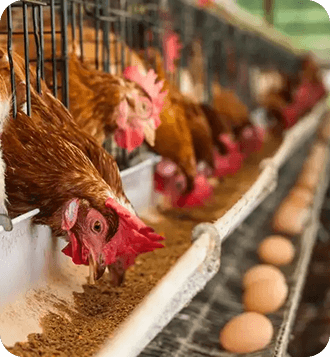 home-page-gallery-image-7