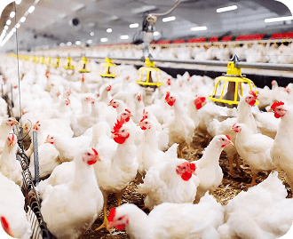 home-page-gallery-image-8