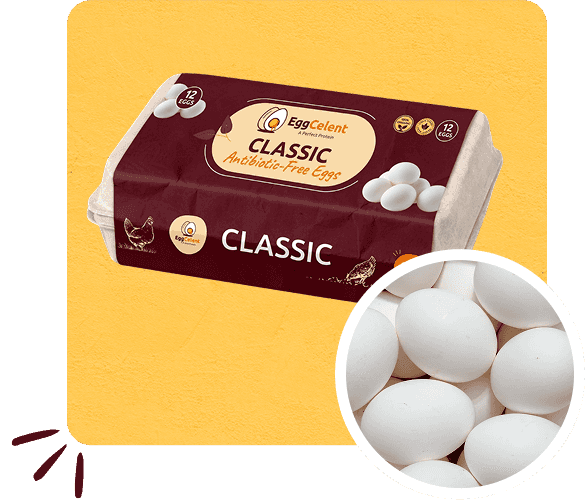 wholesale-eggs-in-pakistan-section-image-3