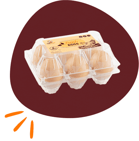 poultry-page-welfare-section-image-2