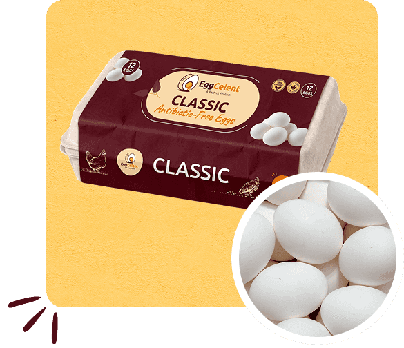 export-eggs-pakistan-section-image-3