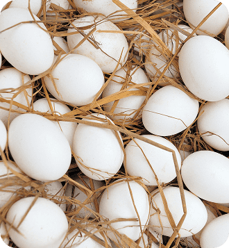 home-page-gallery-image-2