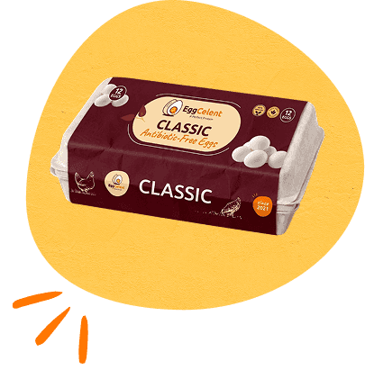 twelve-pack-eggs-section-image-1