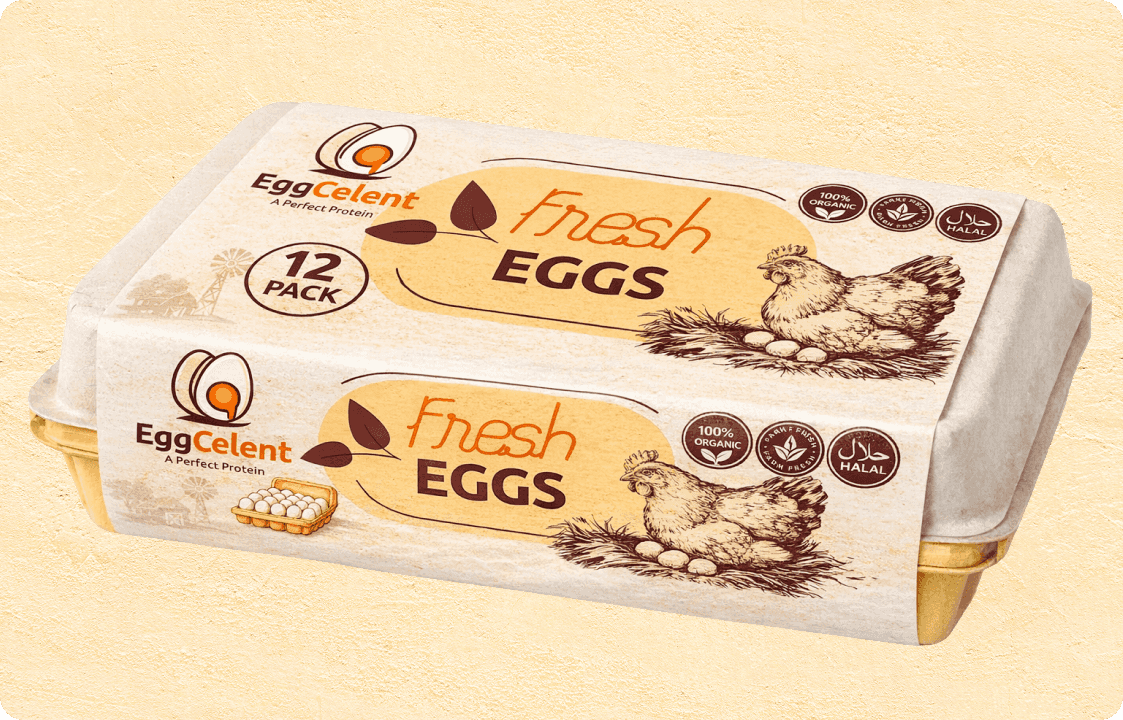 twelve-pack-eggs-image-2