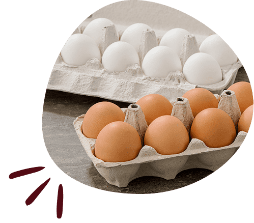 wholesale-eggs-in-pakistan-section-image-2