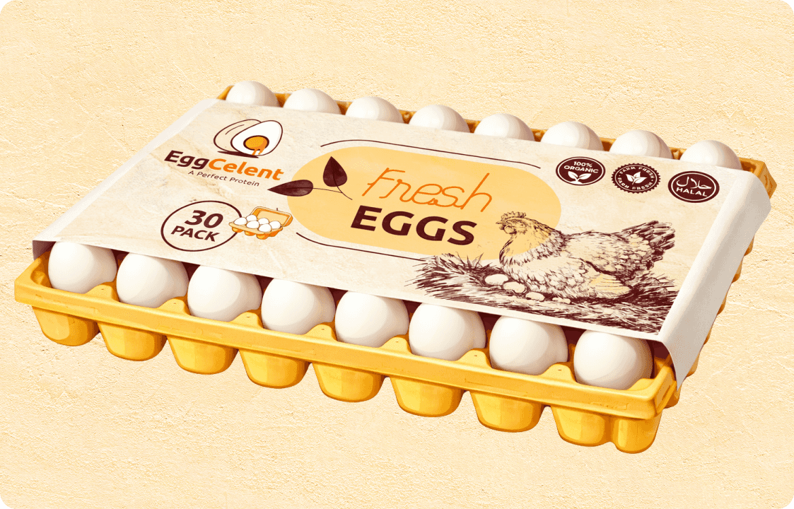 eggs-tray-image-2