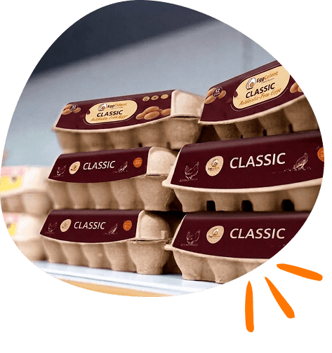 wholesale-eggs-in-pakistan-section-image-5