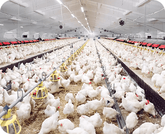 home-page-gallery-image-1