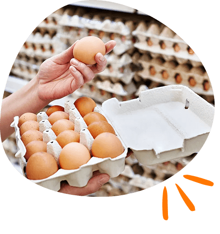 export-eggs-pakistan-section-image-5