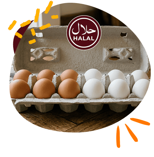 export-eggs-pakistan-section-image-1